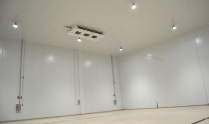 EMPRESA DEL SECTOR DE LA ALIMENTACION